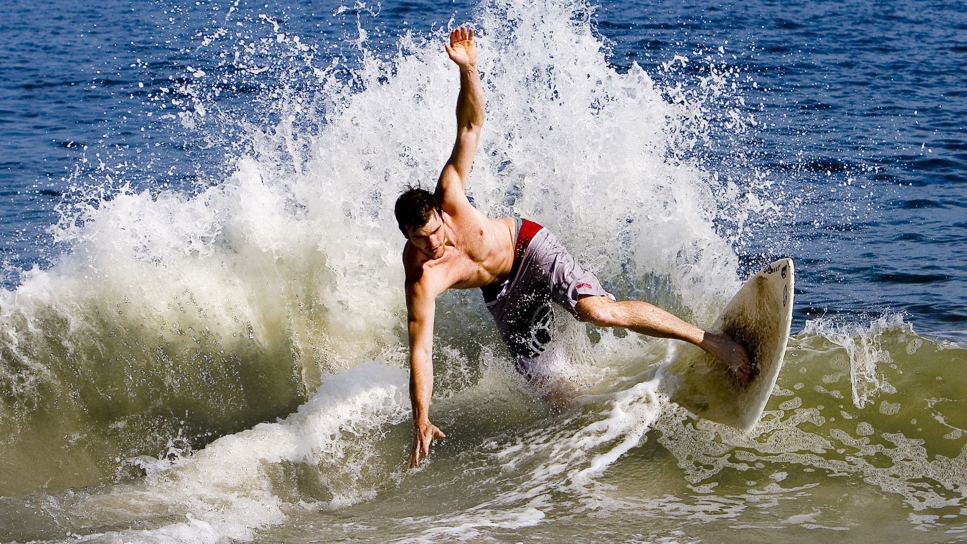 _沙滩鸟巢跑：一场充满趣味的海滩运动秀_，沙滩鸟图片