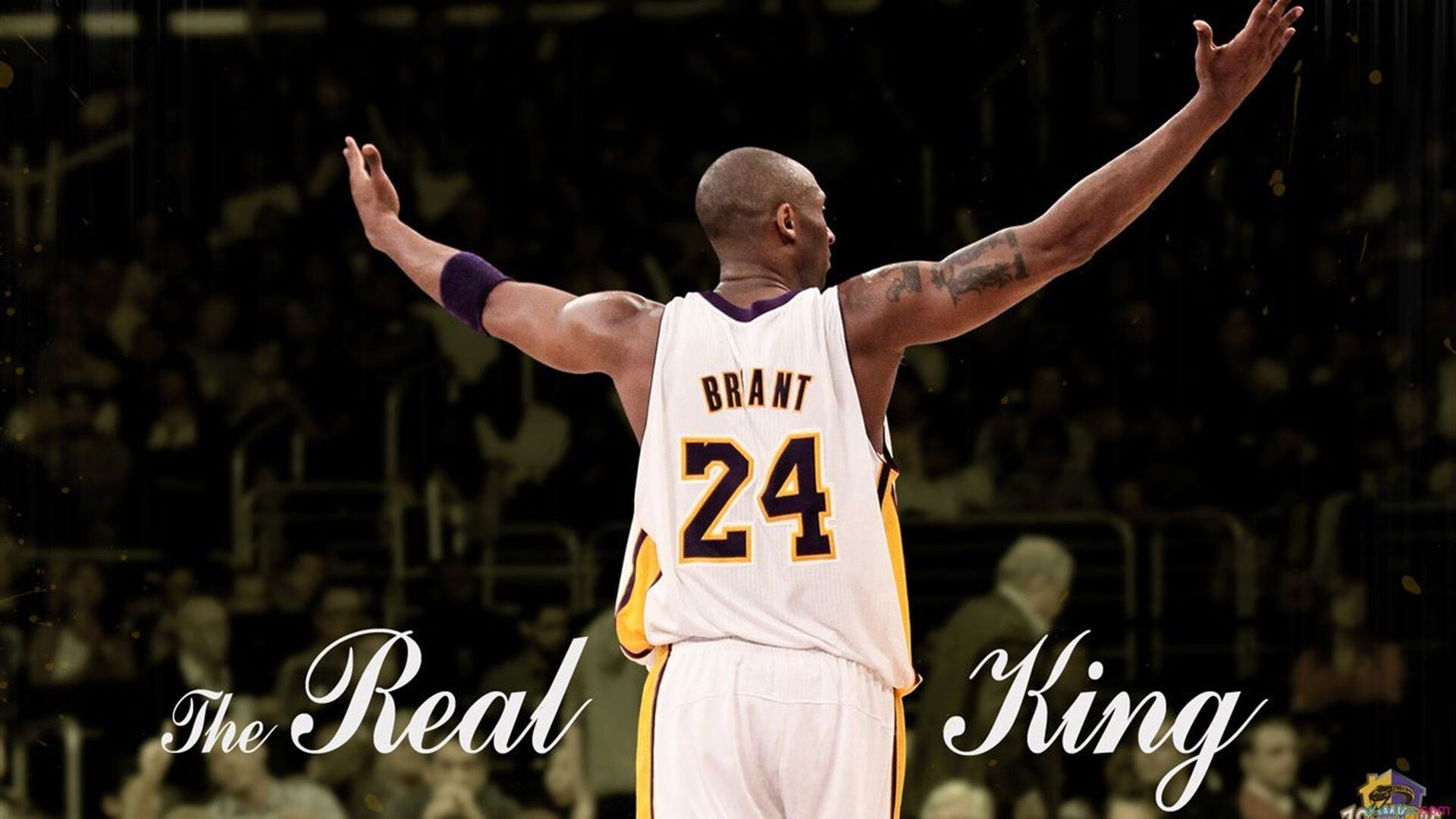 【名将风采】马克·塞尔比的攻守转换与比赛策划，马克塞尔比的人生经历